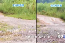 鸡蛋30米高处摔下不破、汽车撞墙几乎无损伤、钢板千度烧不透...是真的吗？图片