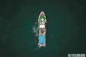 刀鱼季，青岛海钓圈嗨了图片