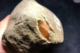 大马砍翡翠原石竟然出了满黄翡手镯，难得一见图片