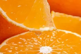 象山地区‘ 红美人’ 柑橘设施完熟栽培关键技术图片