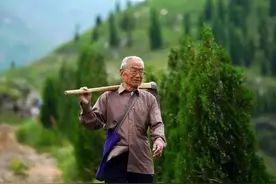 央媒聚焦！从“山里娃”到高级工程师，83岁的他投入40多万，在大山深处造林8000亩！图片