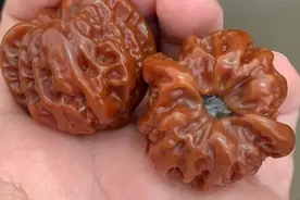 哎呦！这年头，机刷的核桃也拿来显摆了？图片
