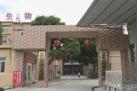 巴威生物：蜜柚废果变有机肥 产销两旺图片