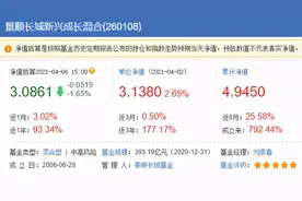我自己买的几只基金！（下）图片