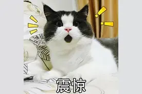 爱因斯坦《相对论》手稿在法拍出1160万欧！买家竟然是李嘉诚？图片