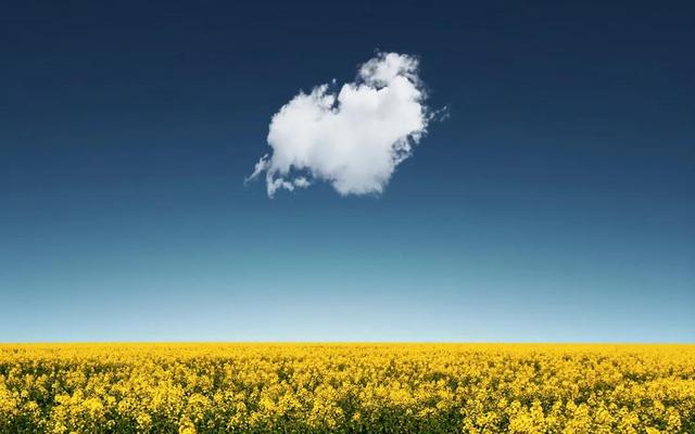 全部的成语！收藏起来，回家教给孩子