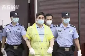 王振华上诉，请求二审判无罪！受害9岁女童律师：至今没有任何赔偿、安抚，应判他5年以上图片