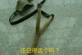 2022江苏省教育改革，我们期待中图片