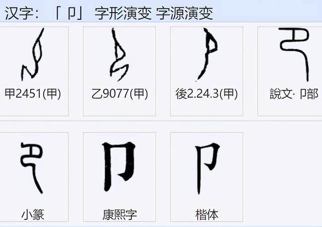 部首"左耳,右耳,单耳"都像耳,其实都与耳无关