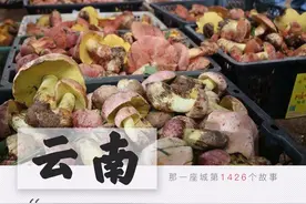 拿生命吃菌子，大云南又又又又上热搜了图片