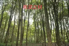 要想做大事成大器，请牢记这五个“三”，能做到非富即贵图片