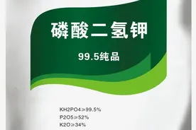 磷酸二氢钾：假货多，5个简易方法，准确快速辨真假图片