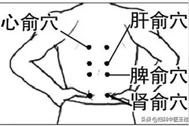 卵巢掌管着女性的衰老速度图片