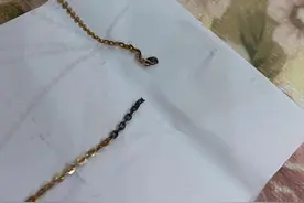 彩金项链烧断了怎么办图片