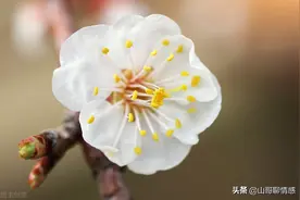 人这辈子，所有这一切，都是上天最好的安排图片