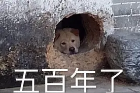 表情包 | 就想问问你心里有没有我图片