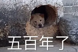 表情包 | 就想问问你心里有没有我图片