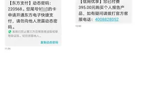 东方电子支付卷入恶意扣款风波，被疑风控存漏洞，怎么破图片