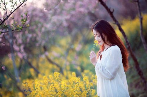 情感美文：爱，只是一种味道
