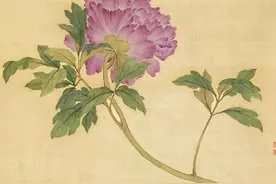 寸寸青丝愁华年图片