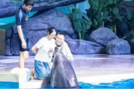 孕妈肚子被海豚轻蹭很奇妙，医生：海豚是天然B超，代表胎儿健康图片