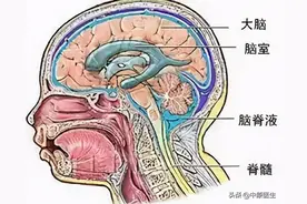 8岁男孩流涕两年，到医院检查后发现流的竟是脑脊液图片