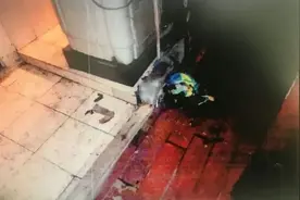 因房东多次擅自进房，24岁女租客打电话报警，结果却把自己送进监狱图片