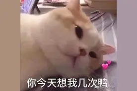 搞笑GIF：你是怎么了？我看你好像不开心的样子！图片
