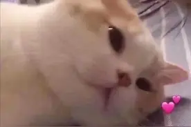 搞笑GIF：你是怎么了？我看你好像不开心的样子！图片