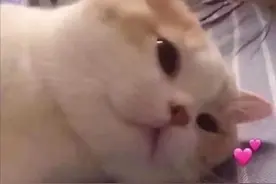 搞笑GIF：你是怎么了？我看你好像不开心的样子！图片