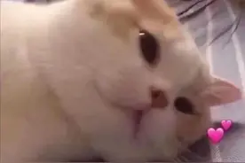 搞笑GIF：你是怎么了？我看你好像不开心的样子！图片
