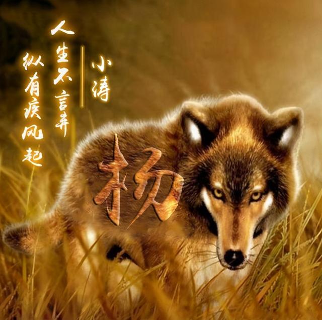 11月你的微信头像该换了，66张鸿运当头励志个性签名头像，请查收