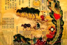 中医问题随想（下）图片