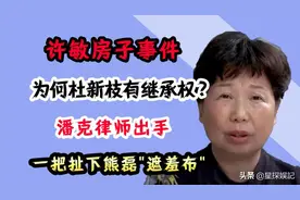 许敏的房，杜新枝有继承权？潘克律师出手，一把扯下熊磊"遮羞布"图片