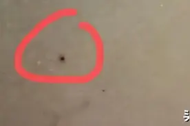 红黄蓝幼儿园又出事了！老师“针扎”5名孩子 家长：学费一个月一万二图片