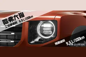 哈弗大狗！大哥，你这台狗百公里多少油？图片