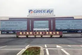 成也萧何，败也萧何！董明珠的跨界布局越走越远图片