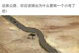 “这条公路为什么要转一个小弯？”脑洞太大了吧哈哈哈~图片