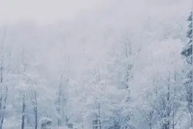 1毫米降水量，到底可以积多厚的雪？图片