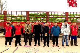 “热销爆款”！秋乐368登顶封神榜首，日售10万袋创造种业奇迹图片
