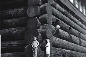 世界上最大的木屋：波特兰“森林大厦”图片