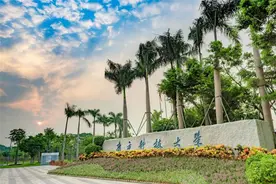 南方科技大学毕业生情况，升学人数增加，出国留学率高达40%图片