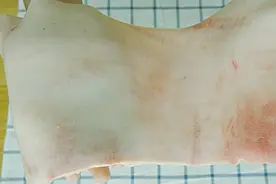 简易煎炸猪油过程图片