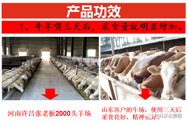 鐩婄珛鍋ワ紙鐗涚緤涓撶敤锛夆€斾腑绉戞矁杈句腑鑽椿鑿屽彂閰点€侀槻鐥呮姉鐥呬績鐢熼暱