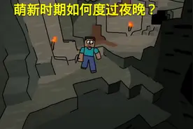 我的世界：看似傻傻的七种过夜行为，玩家们都用过，老mc也不例外图片