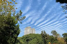 上海深圳出现波纹云，是好事也是坏事！权威预报：持续少雨图片