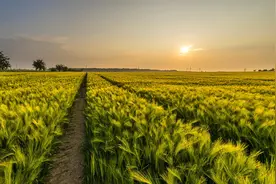 《周易》取名：20个一表人材的男宝名字，芬芳暖阳图片