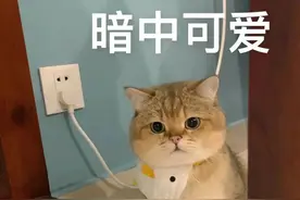 聊天表情包：永远不要相信男人的话图片