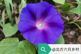 曲终人未散（十七）图片