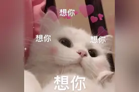 这些甜蜜的聊天记录，谁看了能顶得住啊图片